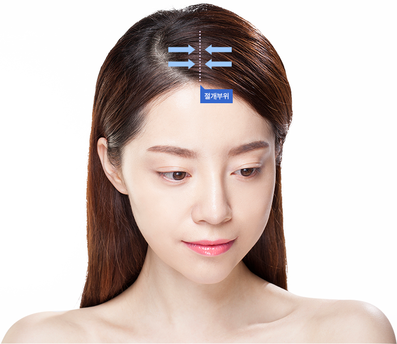 얼굴비율